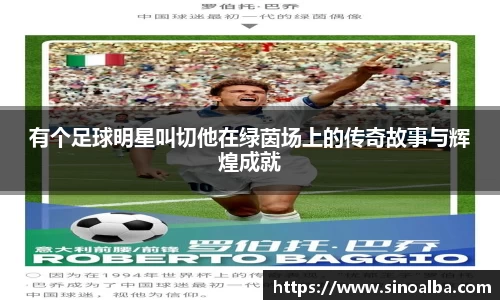 zoty中欧体育官方网站