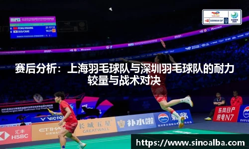 赛后分析：上海羽毛球队与深圳羽毛球队的耐力较量与战术对决